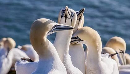 王洪泽青少年三大球集锦回顾：对阵湖北爆20分22篮板